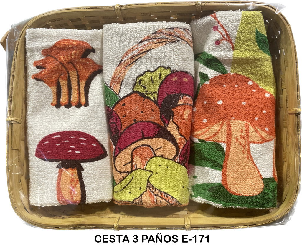 SET 3 PAOS E171